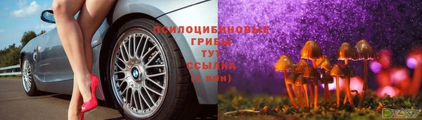 PSILOCYBIN Алексин