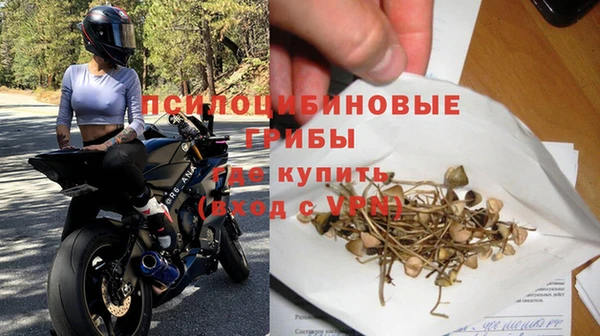 дмт Алзамай