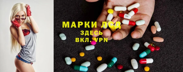 дмт Алзамай