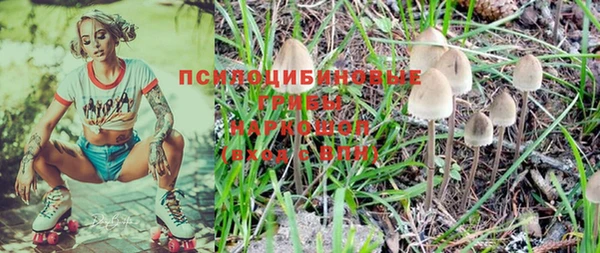 дмт Алзамай