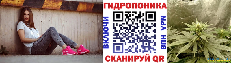 купить наркоту кракен зеркало Канабис планчик Дивногорск